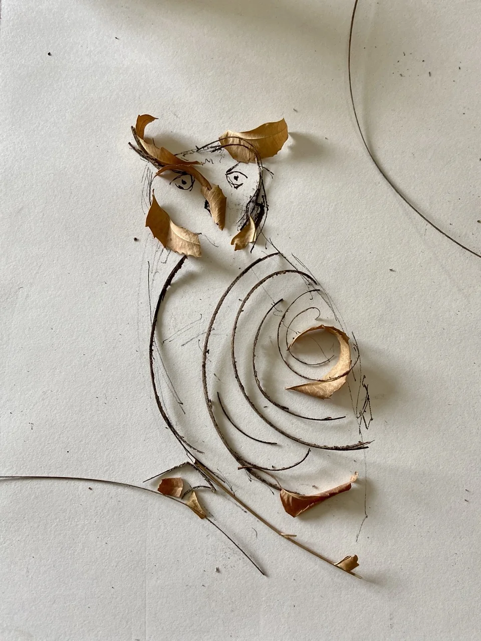 Early Bird Representation Attempt with Twigs