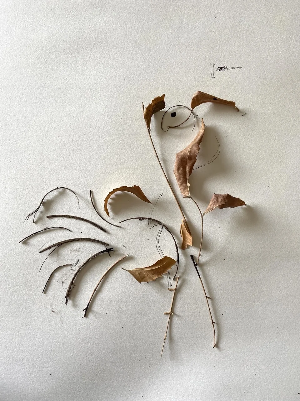 Bird and Branch Experiment with Forced Shapes