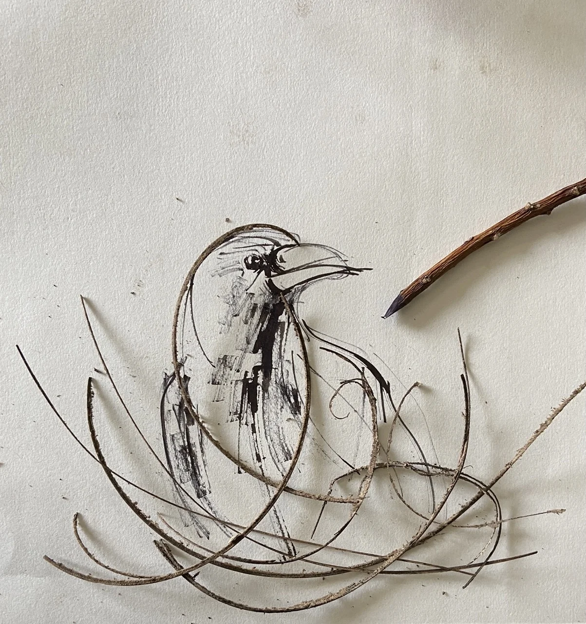 Twig and Ink Branch Attempt