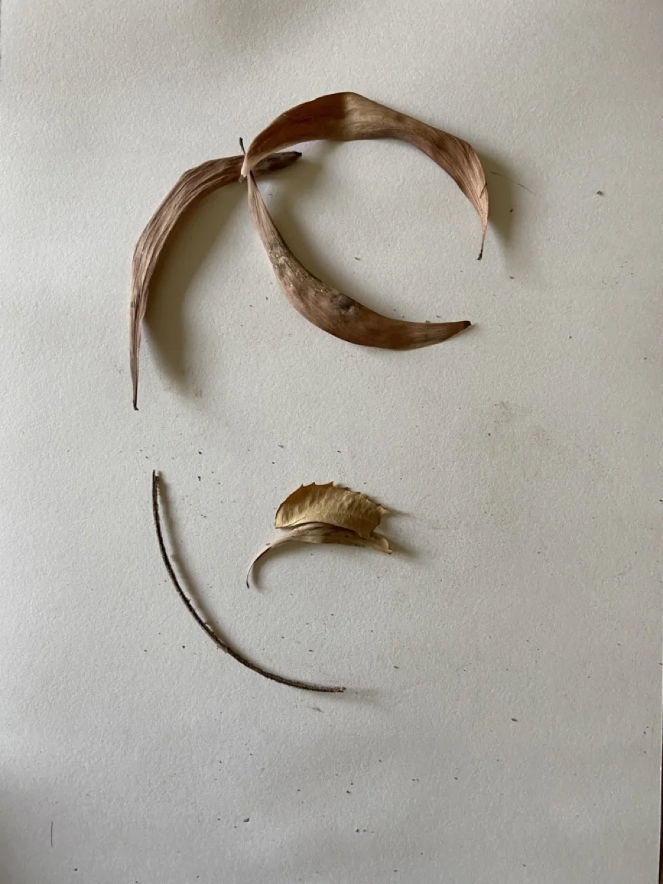 Minimalist Calligraphic Twig Strokes