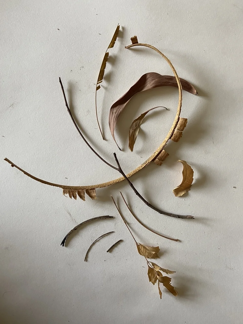 Dynamic Swirling Twig Lines