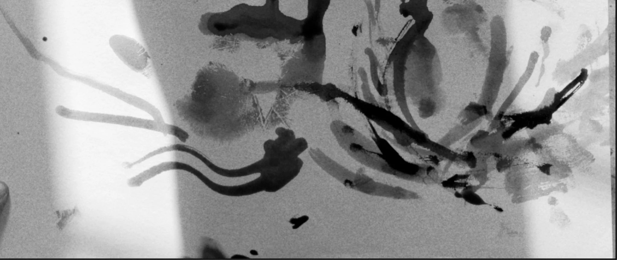 Bold Black Ink Bloom on Paper