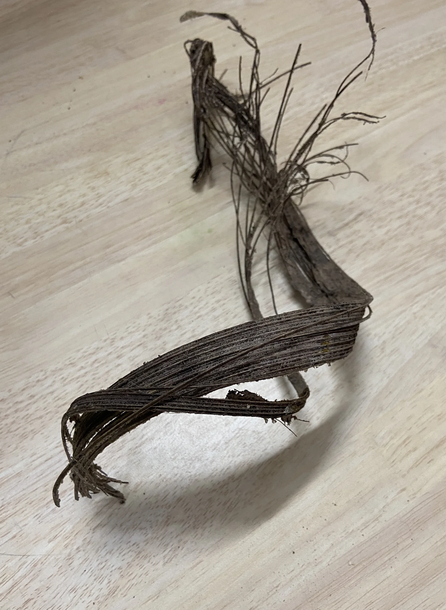 Twigs and Natural Materials on Workspace Sheet