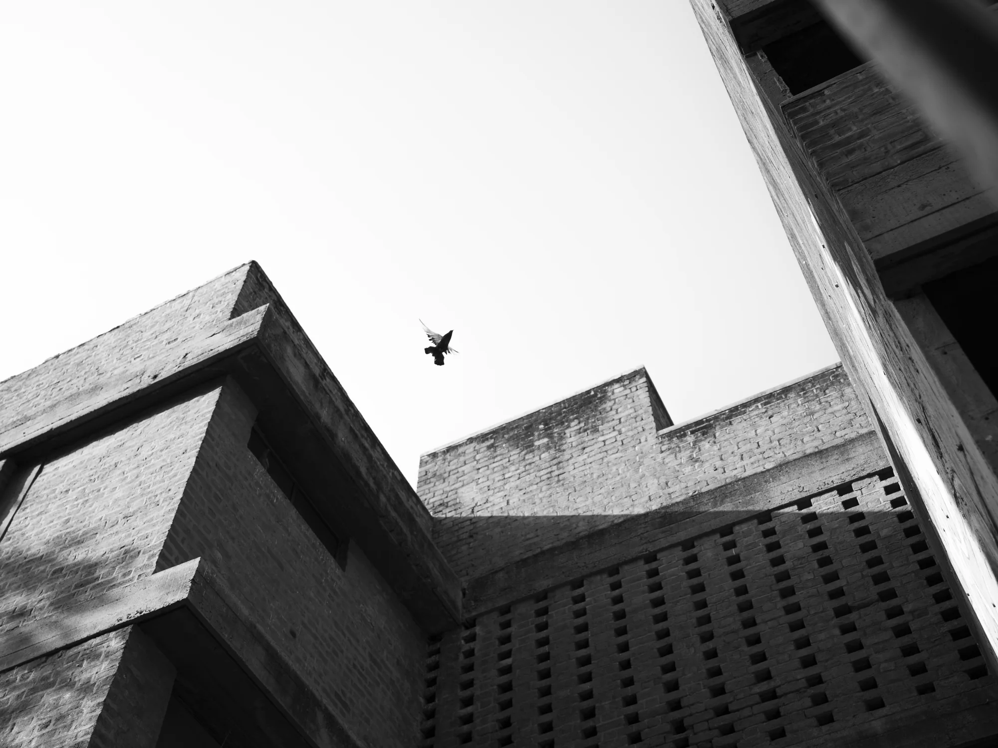 NID Ahmedabad Brick Architecture & Tree Shadows