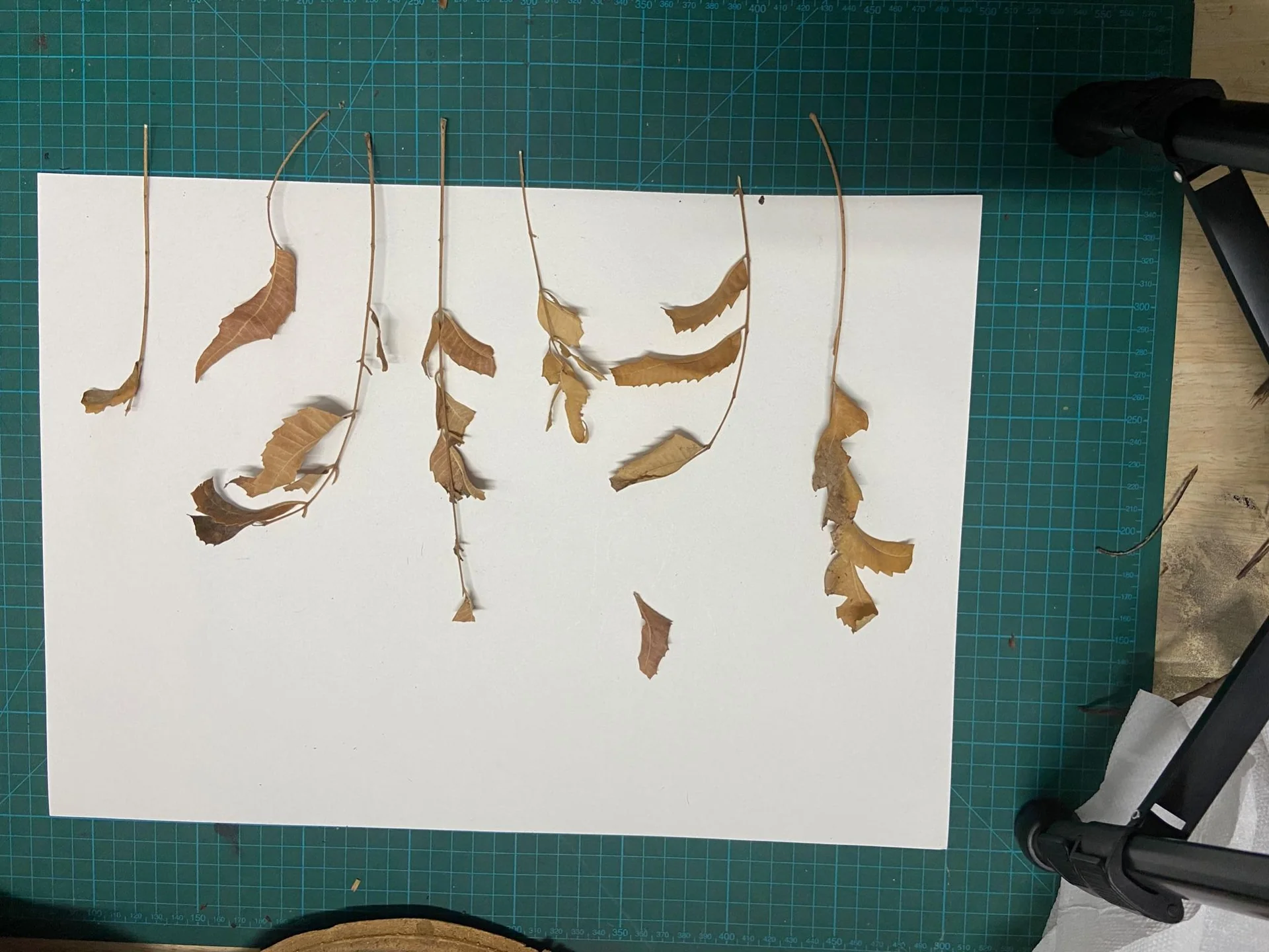 Stop Motion Setup Frame 1