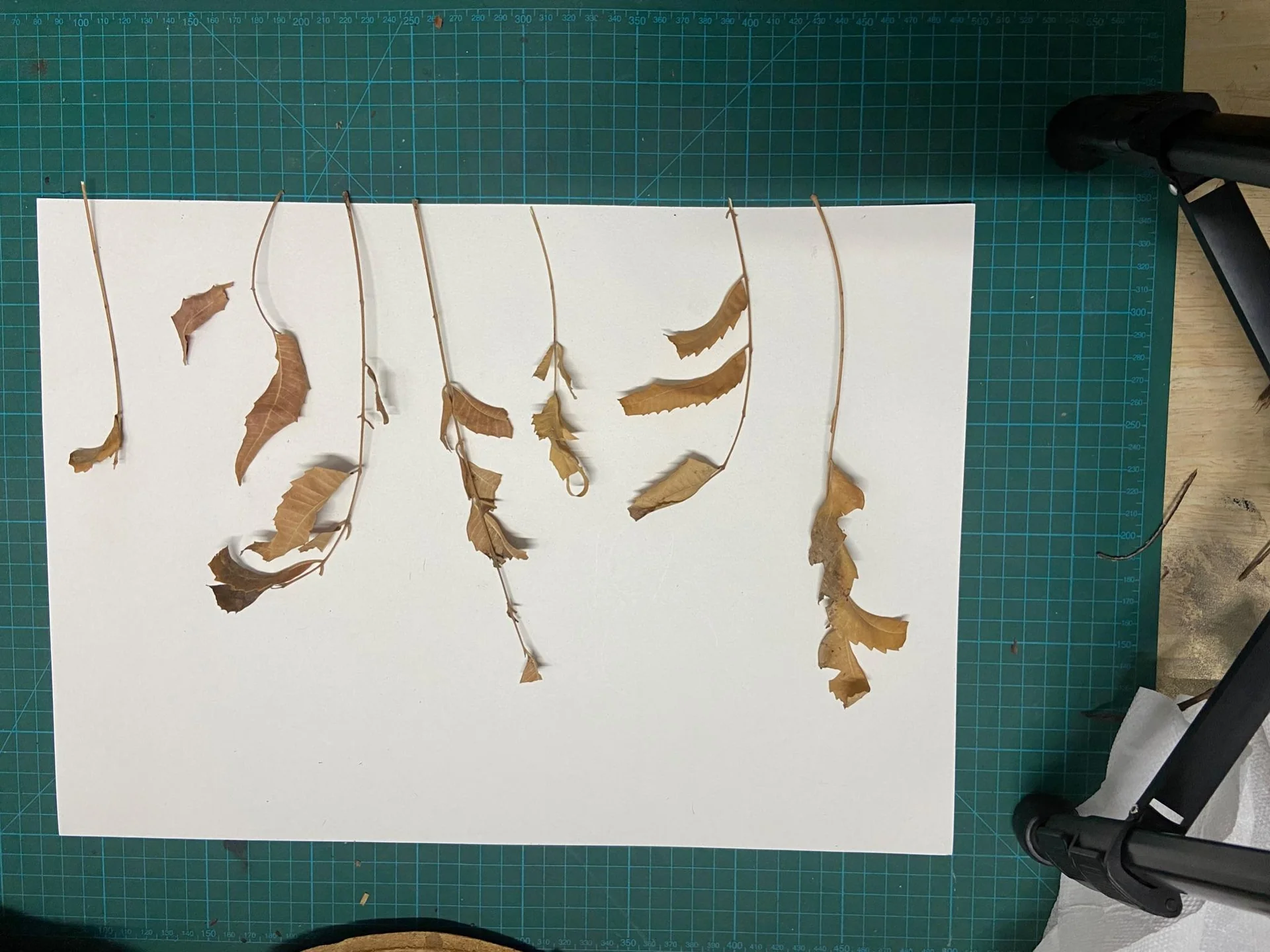 Stop Motion Setup Frame 2