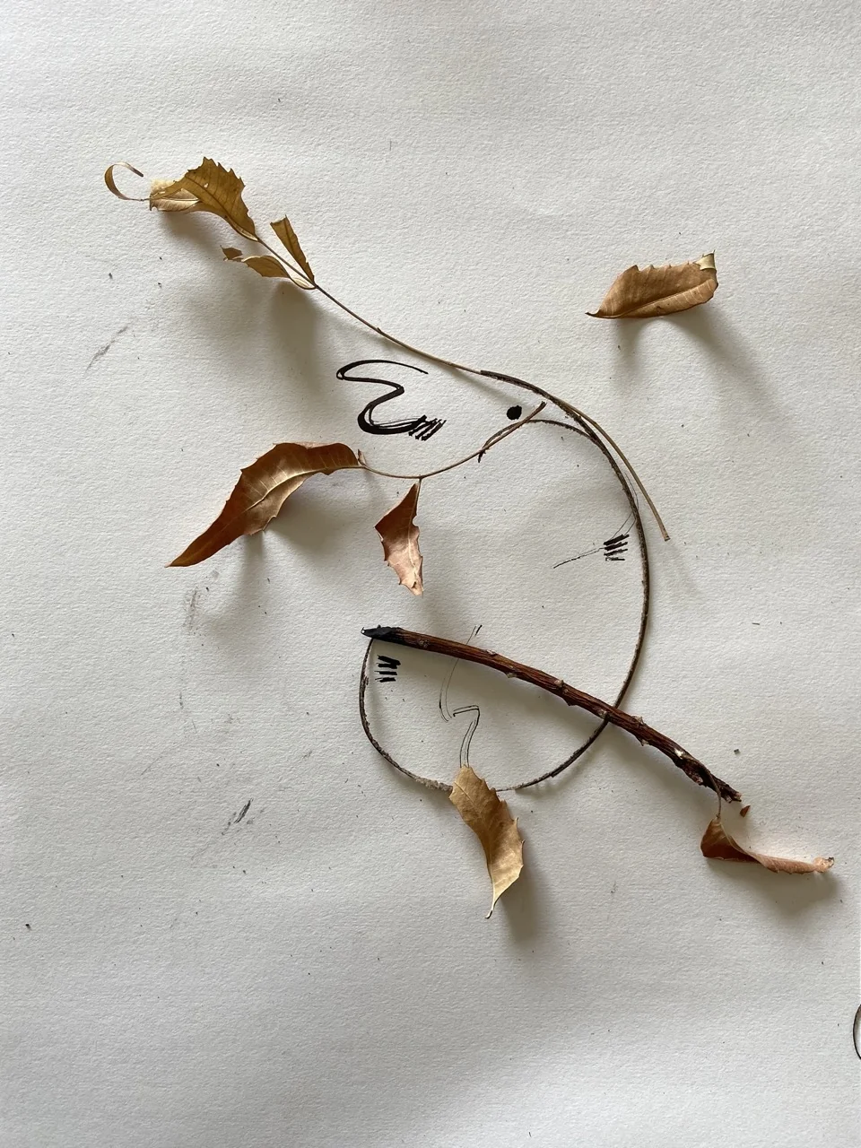 Linear Twig Structure and Organic Nodes