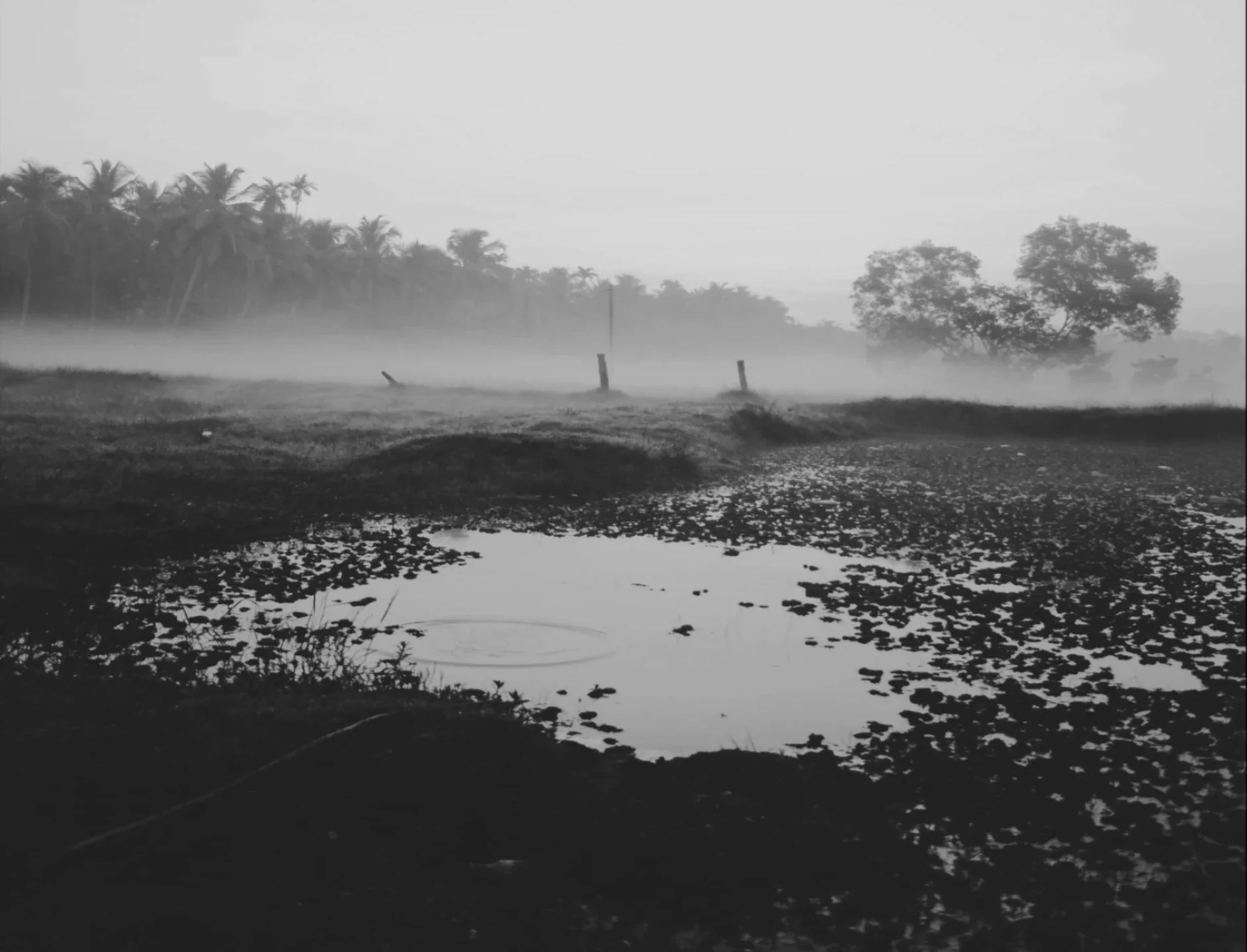 Liminal — still 3