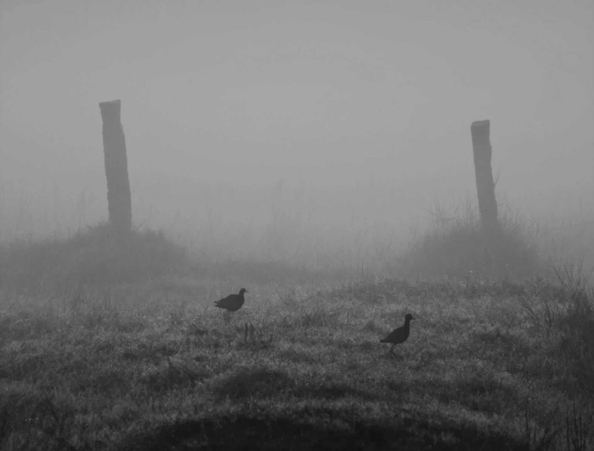 Liminal — still 4