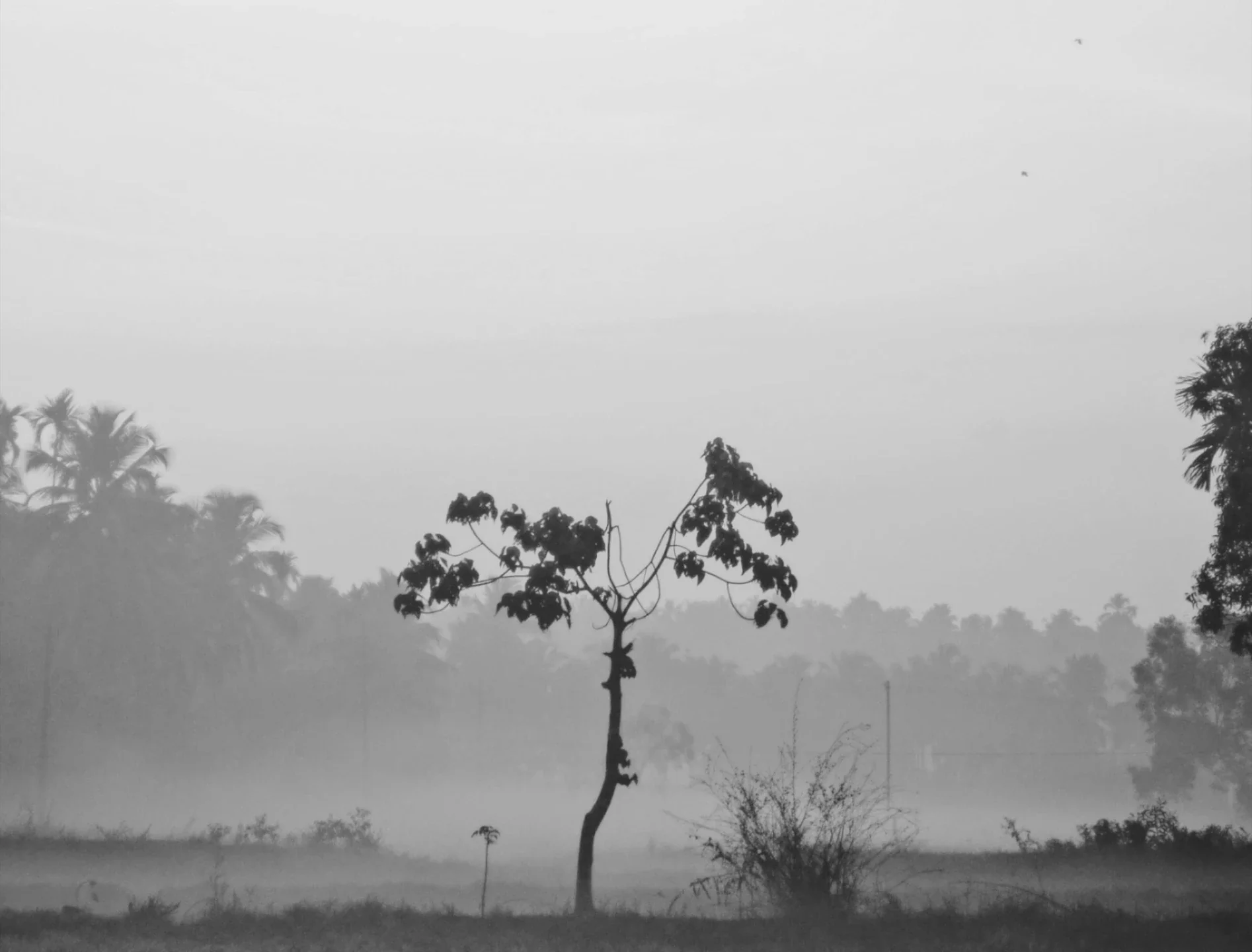 Liminal — still 7