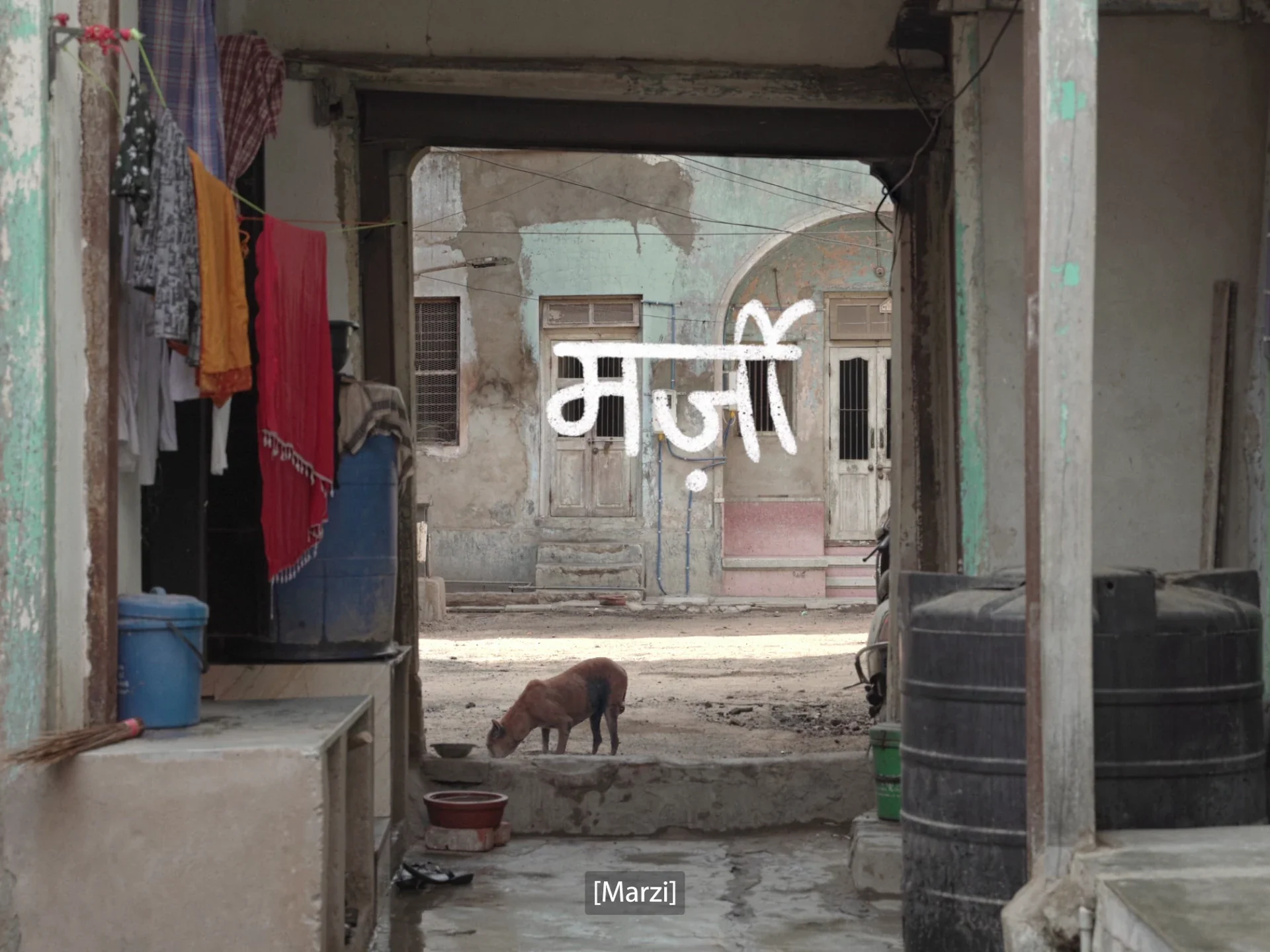 Marzi — still 5