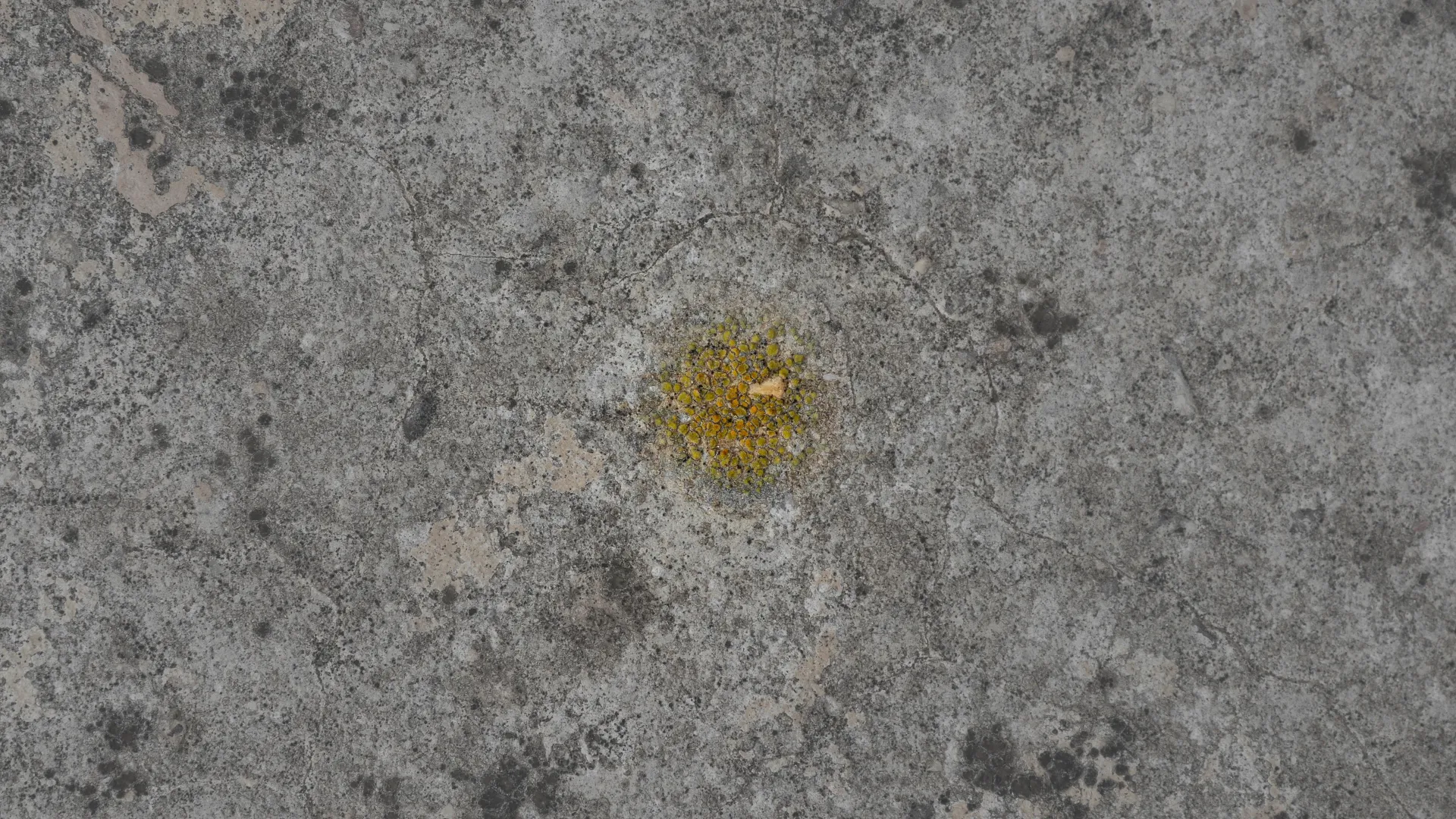 On the Surface