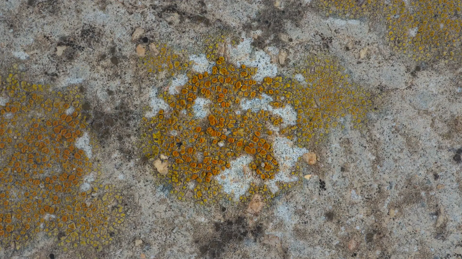On the Surface — still 2