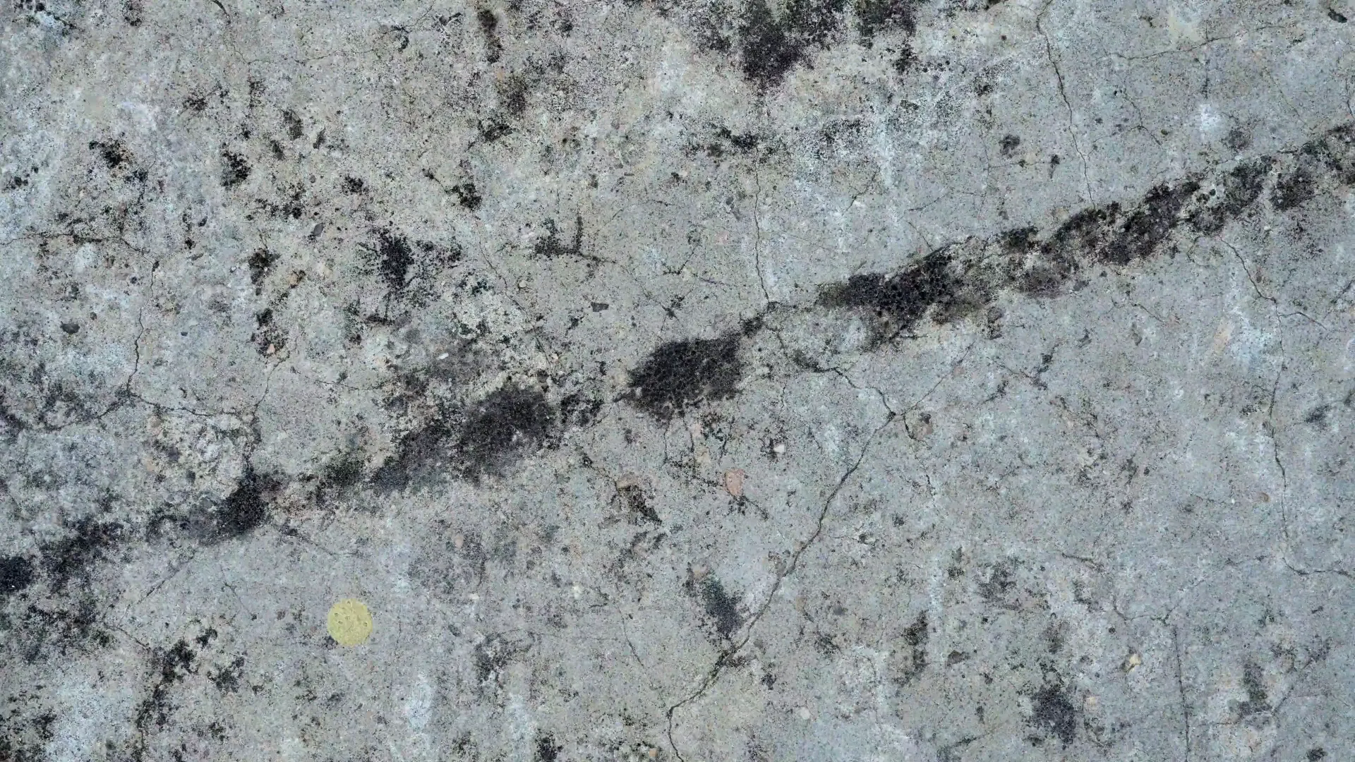 On the Surface — still 3
