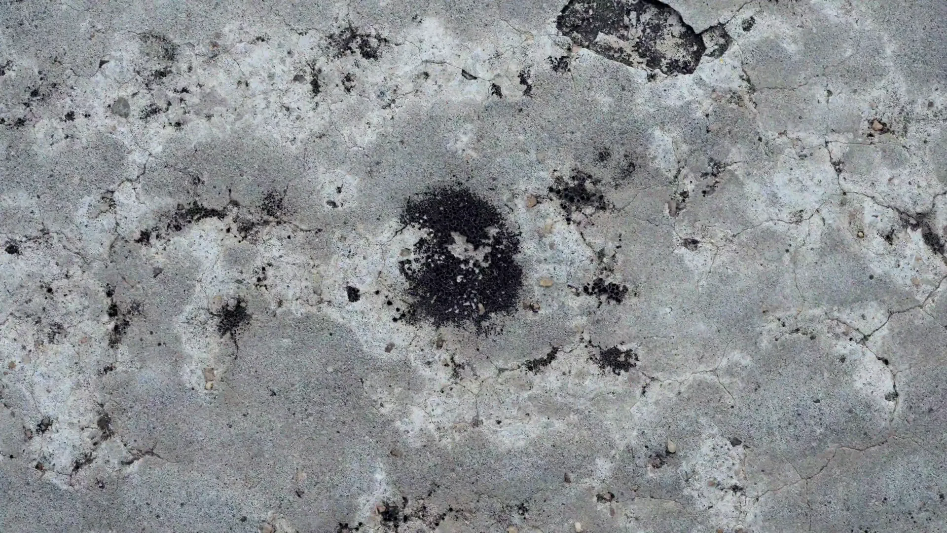 On the Surface — still 6