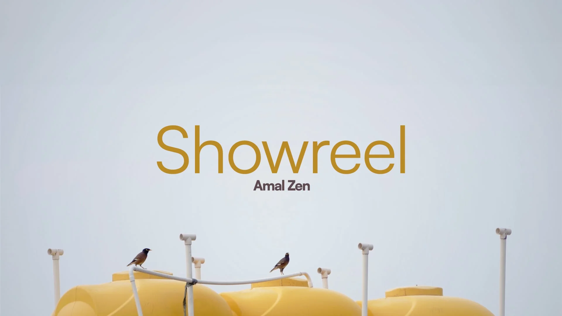 Amal Zen — Showreel 2024