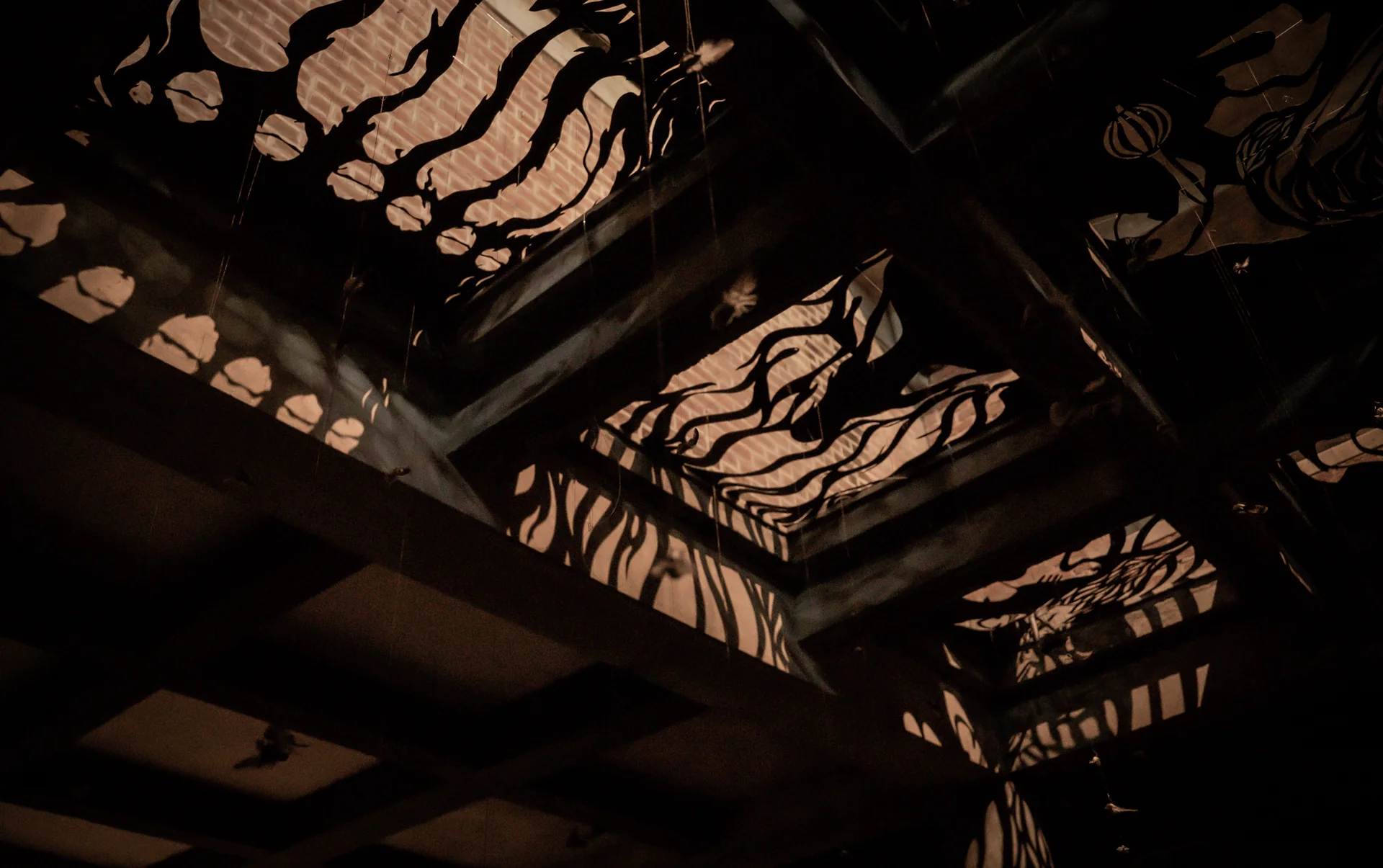 The Song of the Strangled Sparrow — still 3