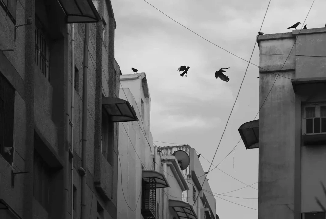 Waiting in Hope — still 8